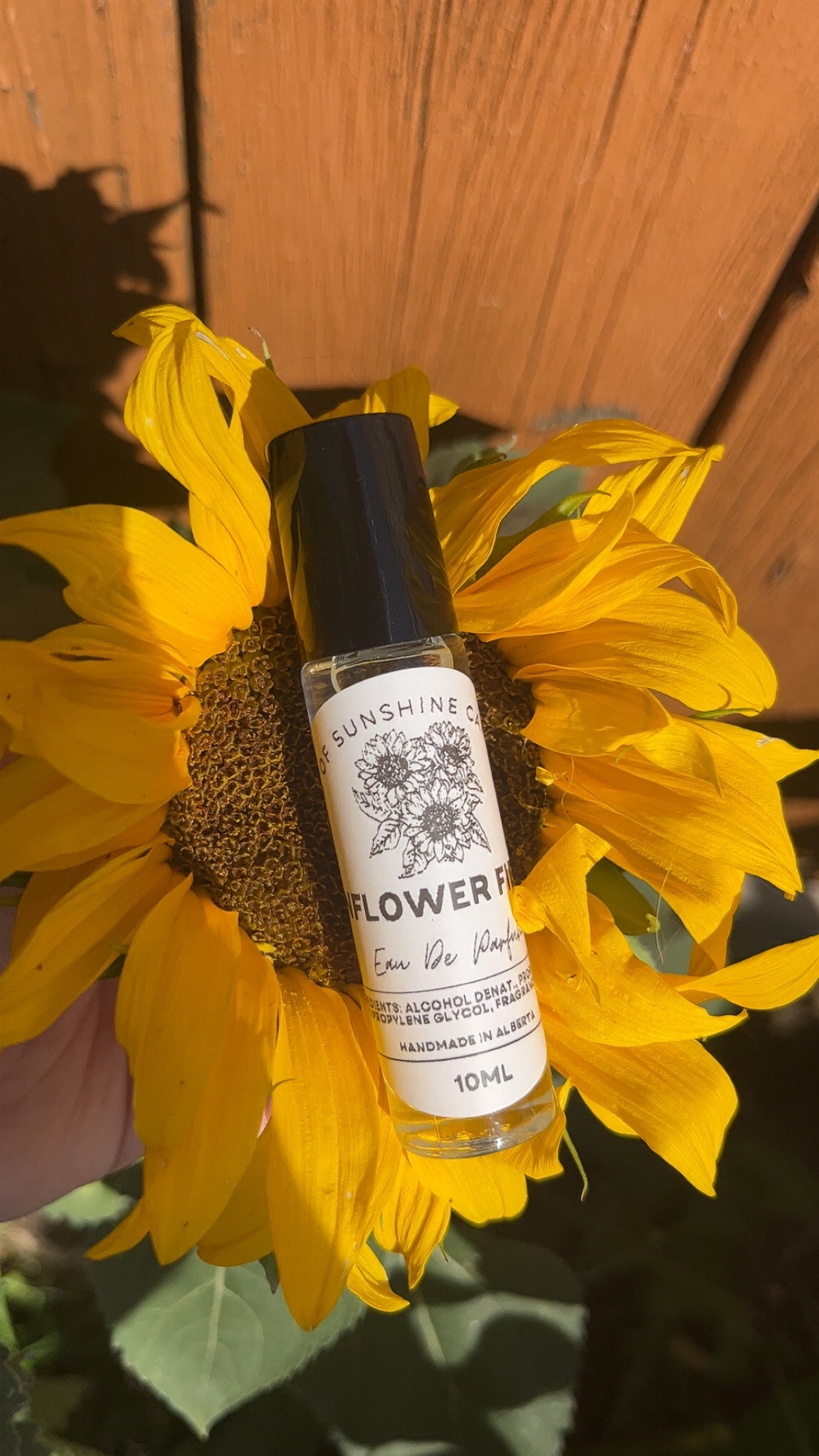 Sunflower fields- Roller ball perfume